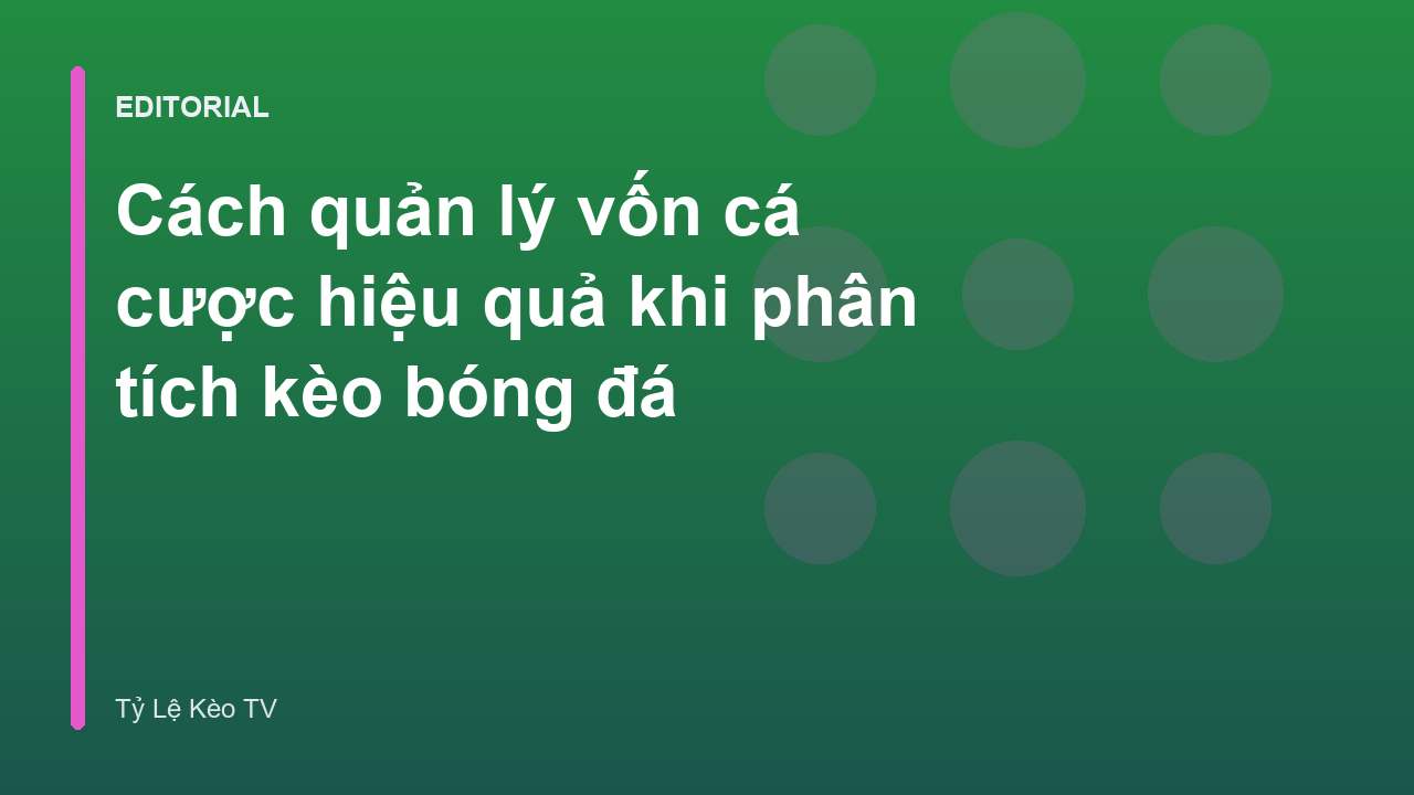 Biểu đồ quản lý vốn cá cược hiệu quả
